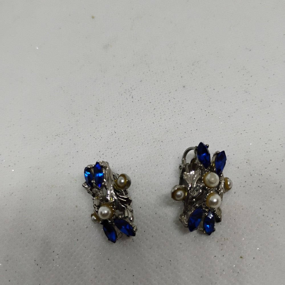 Elegant Blue and Silver Earrings